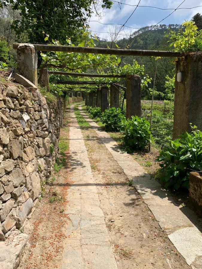 Vecchio Mulino Fontona Ortensia Chiesanuova  Ngoại thất bức ảnh